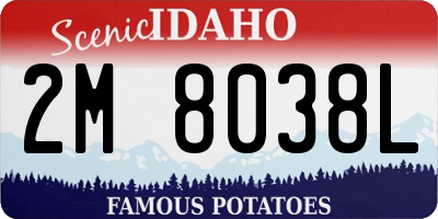 ID license plate 2M8038L