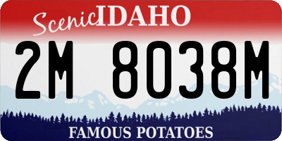 ID license plate 2M8038M