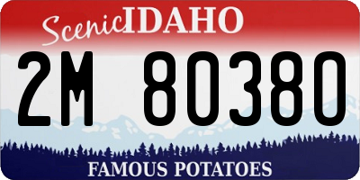 ID license plate 2M8038O