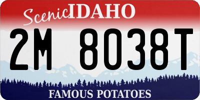 ID license plate 2M8038T