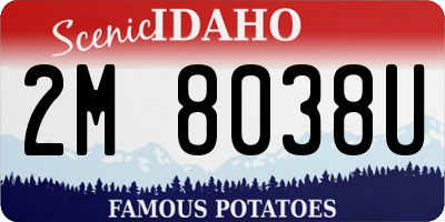 ID license plate 2M8038U
