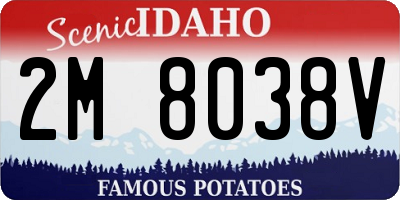 ID license plate 2M8038V