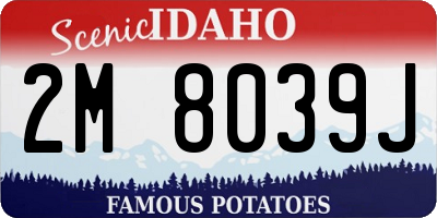 ID license plate 2M8039J