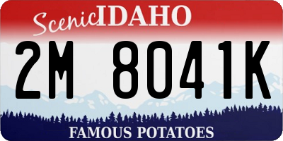 ID license plate 2M8041K