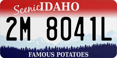 ID license plate 2M8041L