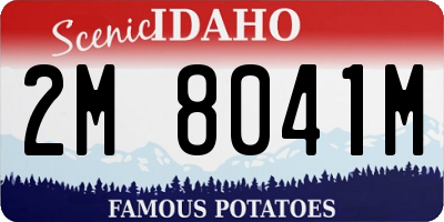 ID license plate 2M8041M
