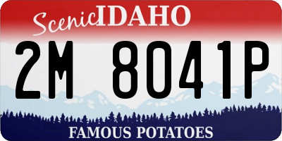 ID license plate 2M8041P