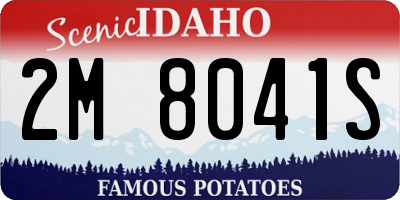 ID license plate 2M8041S