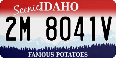 ID license plate 2M8041V