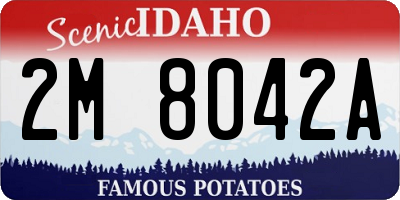 ID license plate 2M8042A