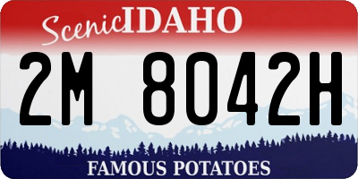 ID license plate 2M8042H