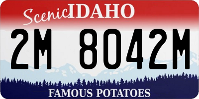 ID license plate 2M8042M
