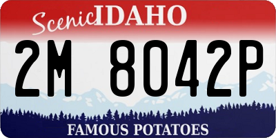 ID license plate 2M8042P