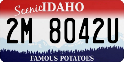 ID license plate 2M8042U