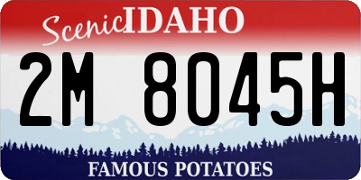 ID license plate 2M8045H
