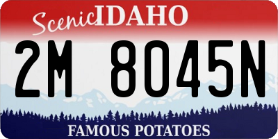 ID license plate 2M8045N