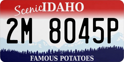 ID license plate 2M8045P