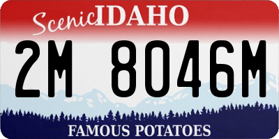 ID license plate 2M8046M