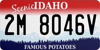 ID license plate 2M8046V
