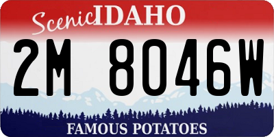 ID license plate 2M8046W
