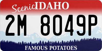 ID license plate 2M8049P
