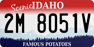 ID license plate 2M8051V