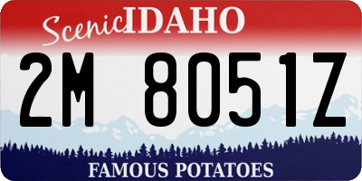 ID license plate 2M8051Z