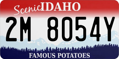ID license plate 2M8054Y
