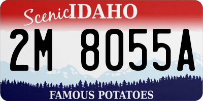 ID license plate 2M8055A