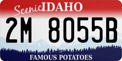ID license plate 2M8055B