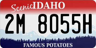ID license plate 2M8055H
