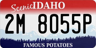 ID license plate 2M8055P