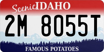 ID license plate 2M8055T