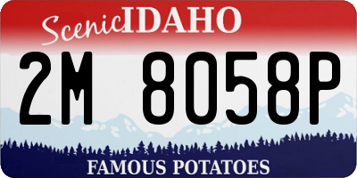 ID license plate 2M8058P
