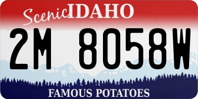 ID license plate 2M8058W