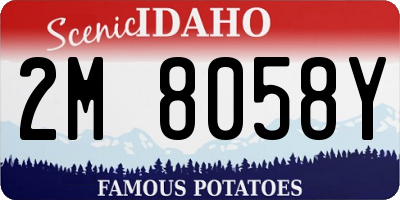 ID license plate 2M8058Y