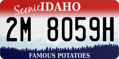 ID license plate 2M8059H