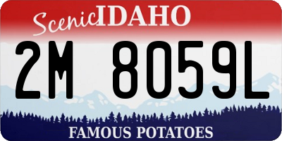 ID license plate 2M8059L