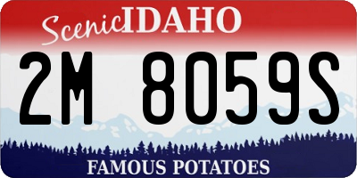 ID license plate 2M8059S