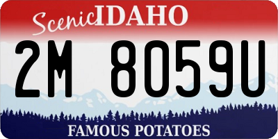 ID license plate 2M8059U