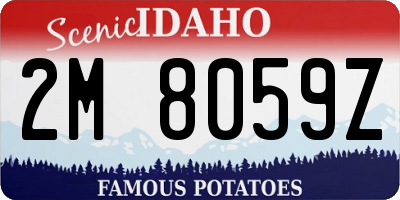 ID license plate 2M8059Z