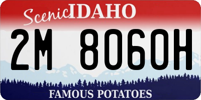 ID license plate 2M8060H