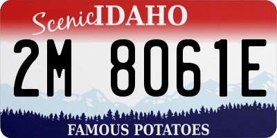 ID license plate 2M8061E