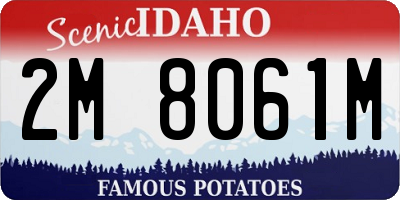 ID license plate 2M8061M