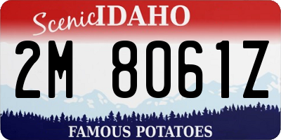 ID license plate 2M8061Z