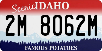 ID license plate 2M8062M
