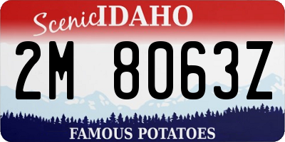 ID license plate 2M8063Z