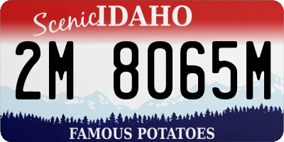 ID license plate 2M8065M