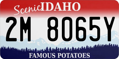 ID license plate 2M8065Y