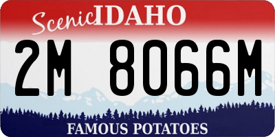 ID license plate 2M8066M